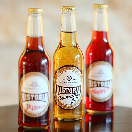 Hotel Historia Malomkert