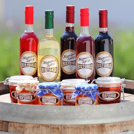 Historia Malomkert מלון 4*