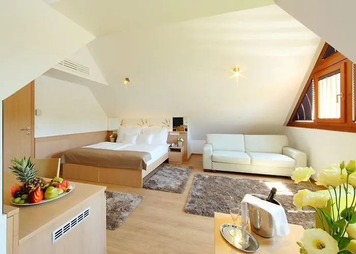 Szálloda Historia Malomkert 4*