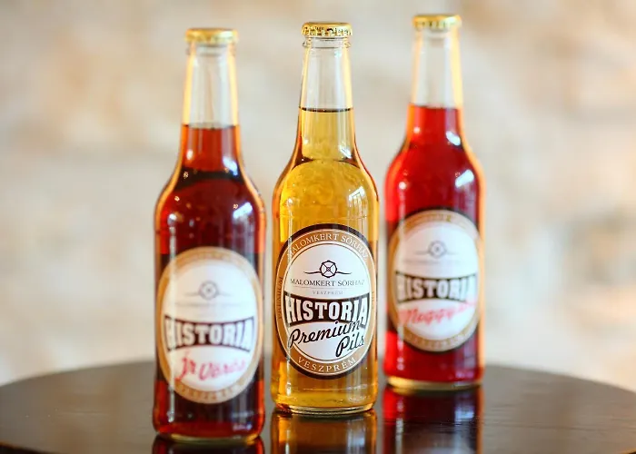 Hotel Historia Malomkert