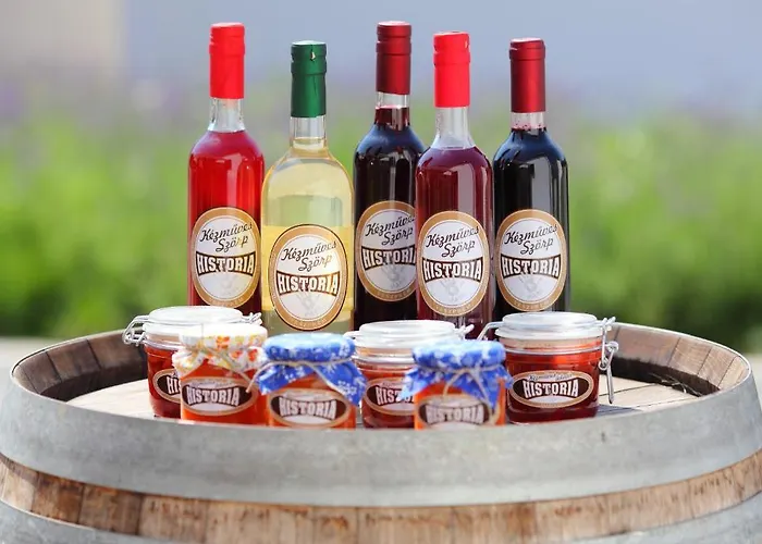 Historia Malomkert Hotel 4*